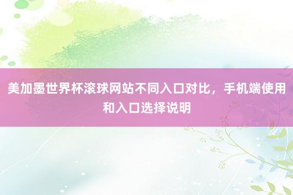 美加墨世界杯滚球网站不同入口对比，手机端使用和入口选择说明